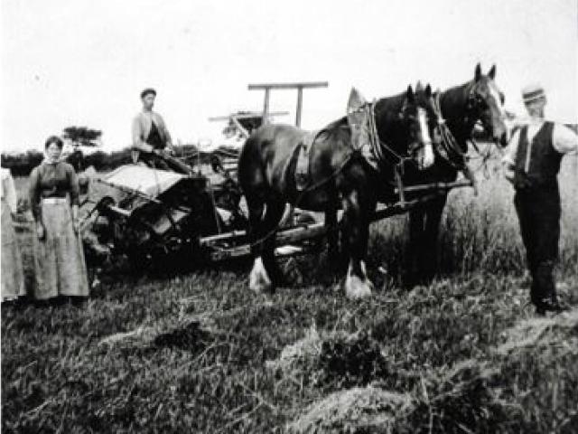 A black and white photo of houses ploughing the area