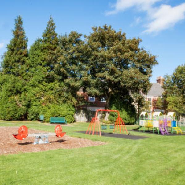 A play area with seesaws, swings and a small climbing frame surrounded by grass or wood chips