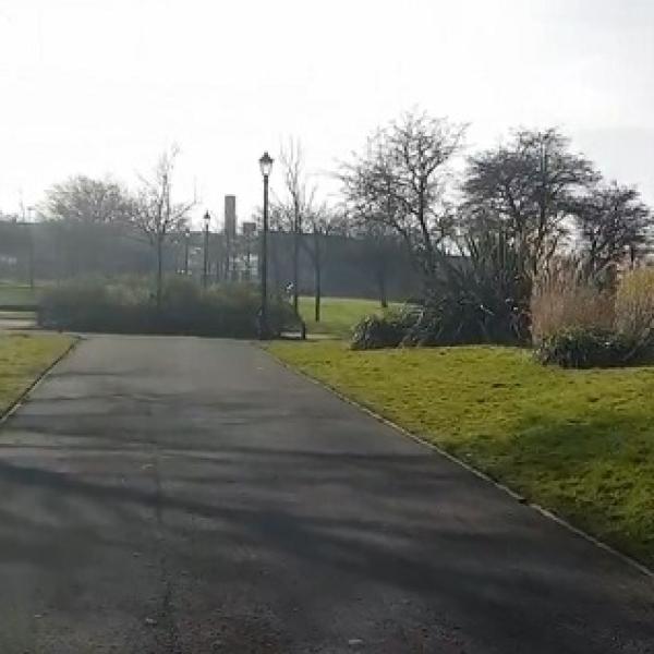 a photography of the tarmac area with green grass around the sides and some bushes in the distance. Light poles are spread out at the side.