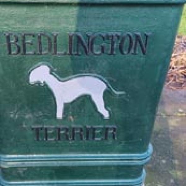 A bin with a engraved Bedlington terrier on the side
