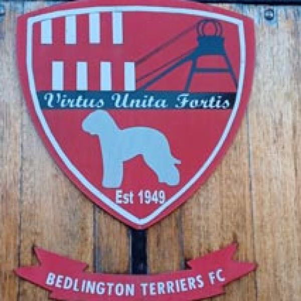 The Bedlington terries football club emblem - A Bedlington terrier at the bottom, the northumberland red and yellow flag in the top left and then a colliery wheel in the top right.