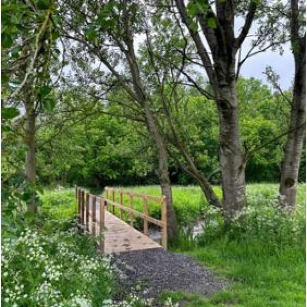 A wooden footbridge for crossing a small stream. There's grass and bushes surrounding