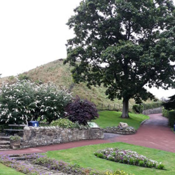 A part of Carlisle Park showing Ha Hill